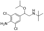 克伦特罗杂质K